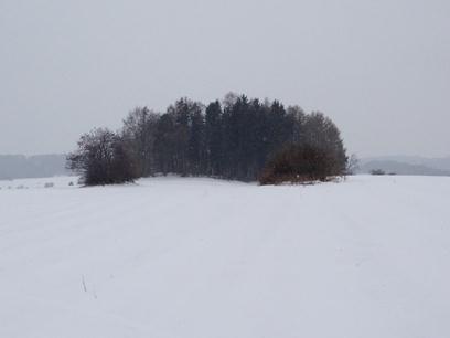 Shromaždiště / Event center