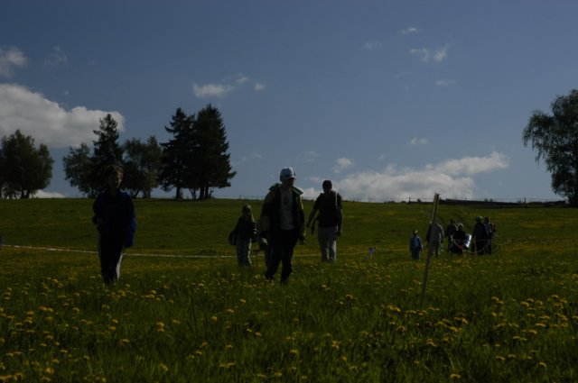 dsc_7243.jpg