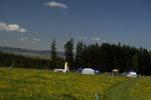 dsc_7263.jpg