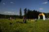dsc_7278_small.jpg