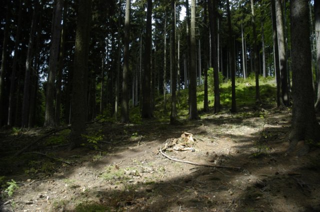 dsc_7329.jpg