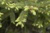 dsc_7410_small.jpg