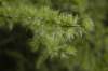 dsc_7413_small.jpg