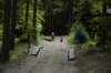 dsc_7449_small.jpg