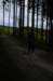 dsc_7464_small.jpg
