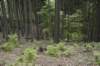dsc_7510_small.jpg