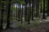 dsc_7527_small.jpg