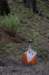 dsc_7528_small.jpg