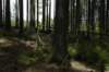dsc_7551_small.jpg