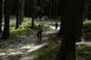 dsc_7552_small.jpg