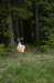 dsc_7612_small.jpg