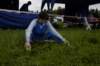 dsc_7696_small.jpg