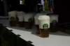 dsc_7782_small.jpg