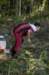 dsc_8004_small.jpg