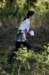 dsc_8015_small.jpg