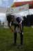 dsc_8294_small.jpg