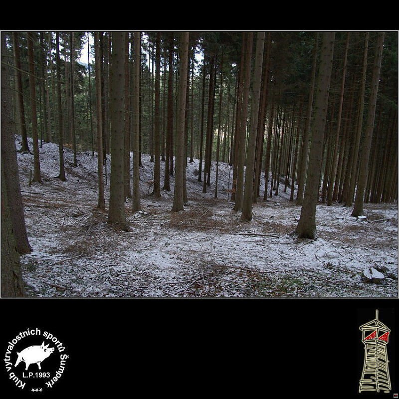 img00018.jpg