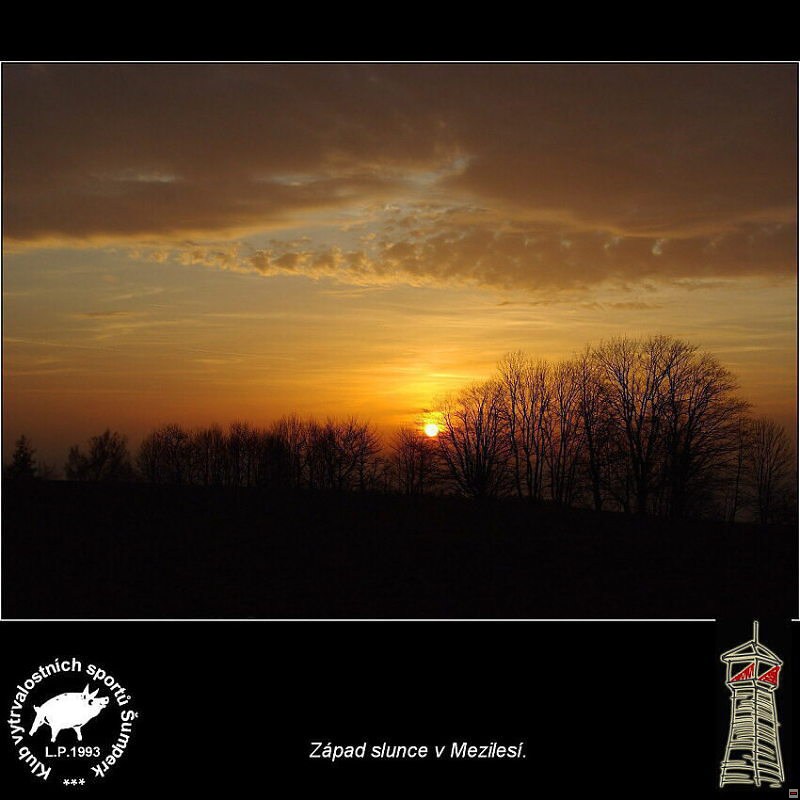img00029.jpg
